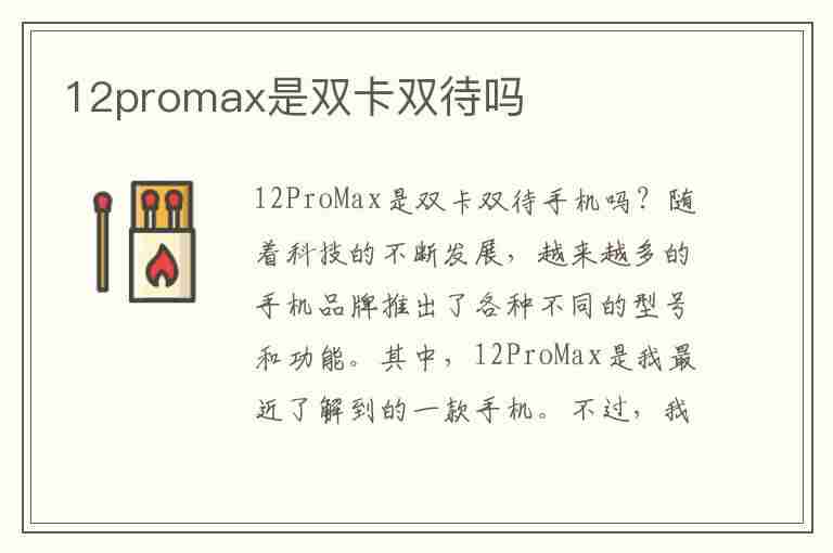 12promax是双卡双待吗(国行12promax是双卡双待吗)